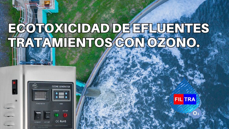 Ozonizaci&oacute;n como Soluci&oacute;n Eficaz para la Ecotoxicidad y DQO en Efluentes Industriales